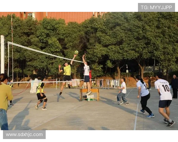 杭州排球队在钻石联赛中的崛起与突破之路全景回顾