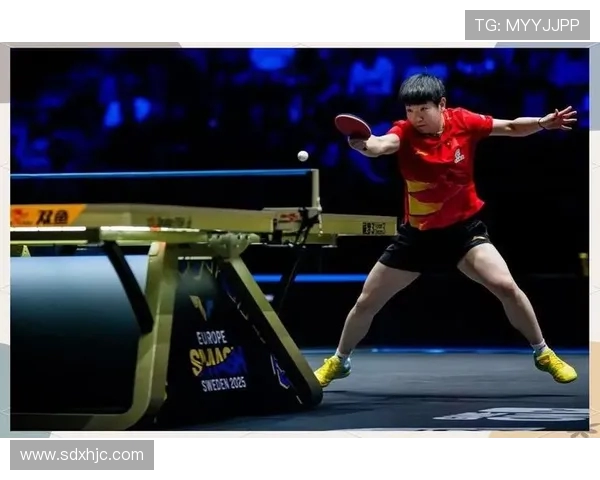 深圳乒乓球队的拼搏历程与大满贯荣耀背后的故事分享