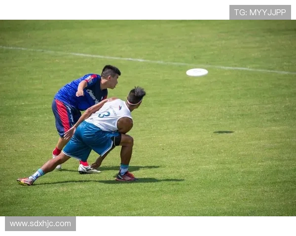 重庆飞盘队实力强劲荣登灵活性排行榜前列引领飞盘热潮