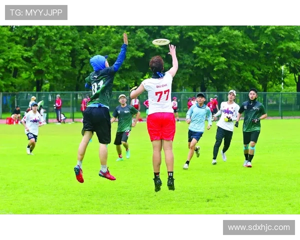 飞盘运动新风潮权威发布飞盘意识实力榜单引领潮流