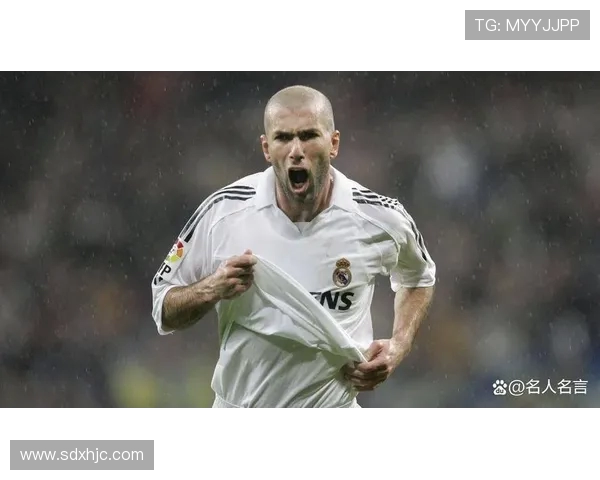 齐内丁齐达内传奇人生从绿茵巨星到世界足坛永恒传奇