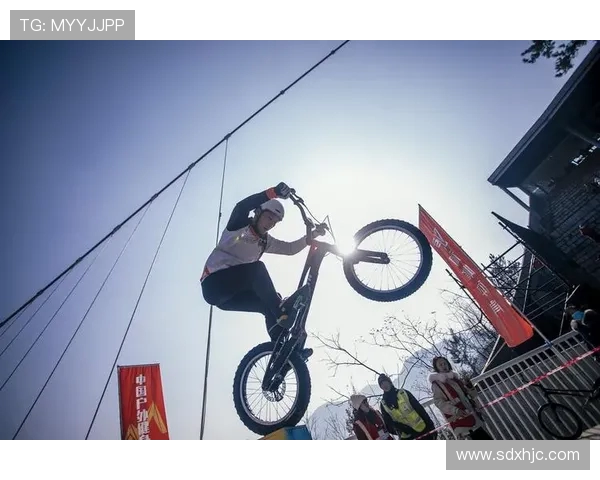 全方位探索运动的力量：从健身到竞技，提升身体与心灵的极限