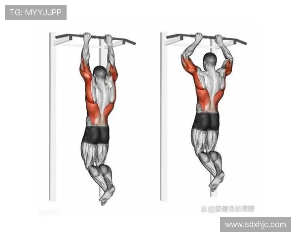 全面健身计划从基础到进阶有效提升身体素质塑造完美身形的科学方法