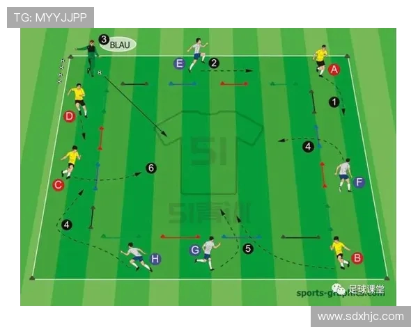 尼日利亚与喀麦隆足球对决全面分析及战术解析